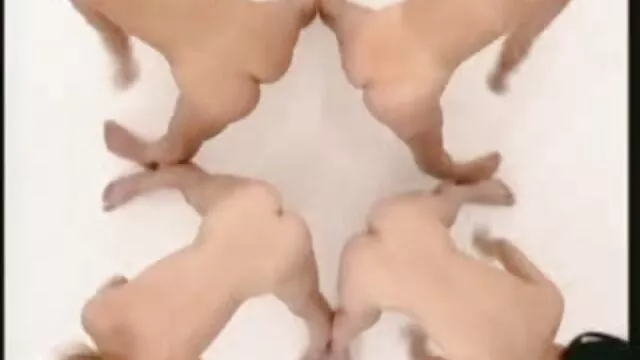 XXX geen registratie  Die vent laat scheten porno videos en espanol in volwassen vrouwen die gefascineerd zijn en zijn jonge vriendin